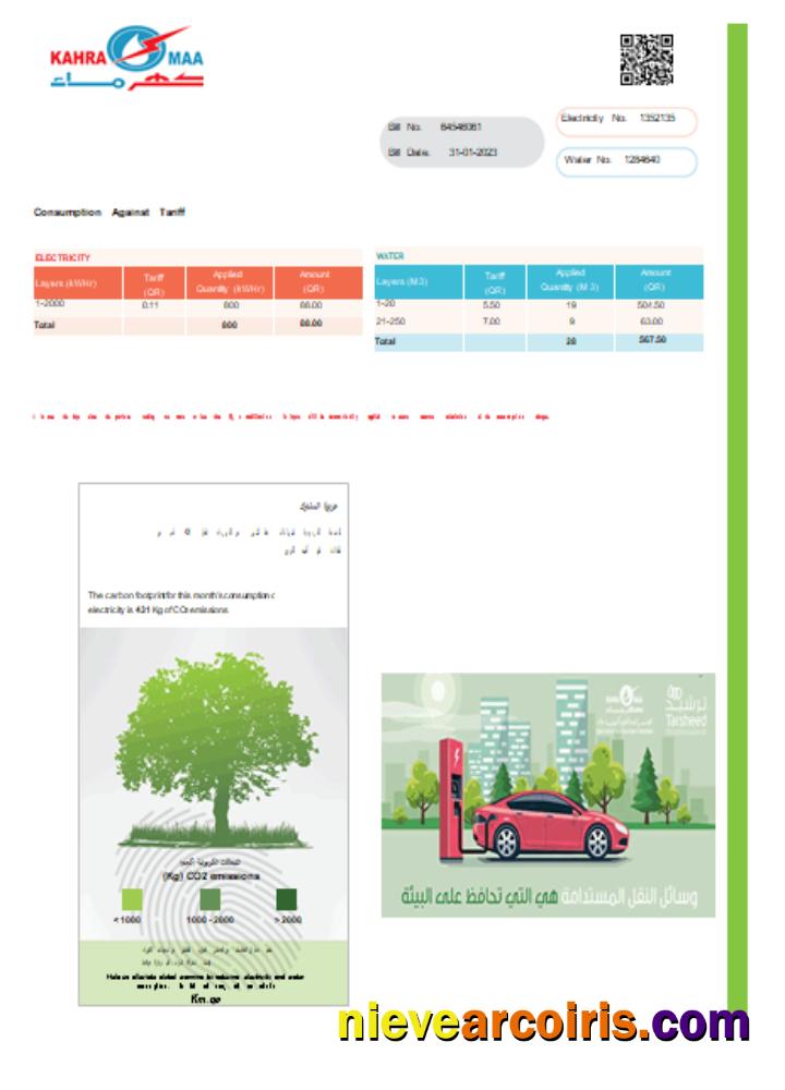 Kahramaa utility business bill, page 2